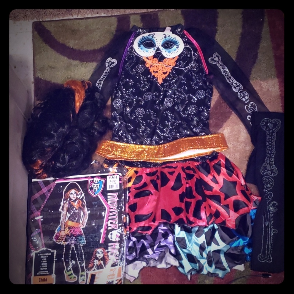 Monster High Costume